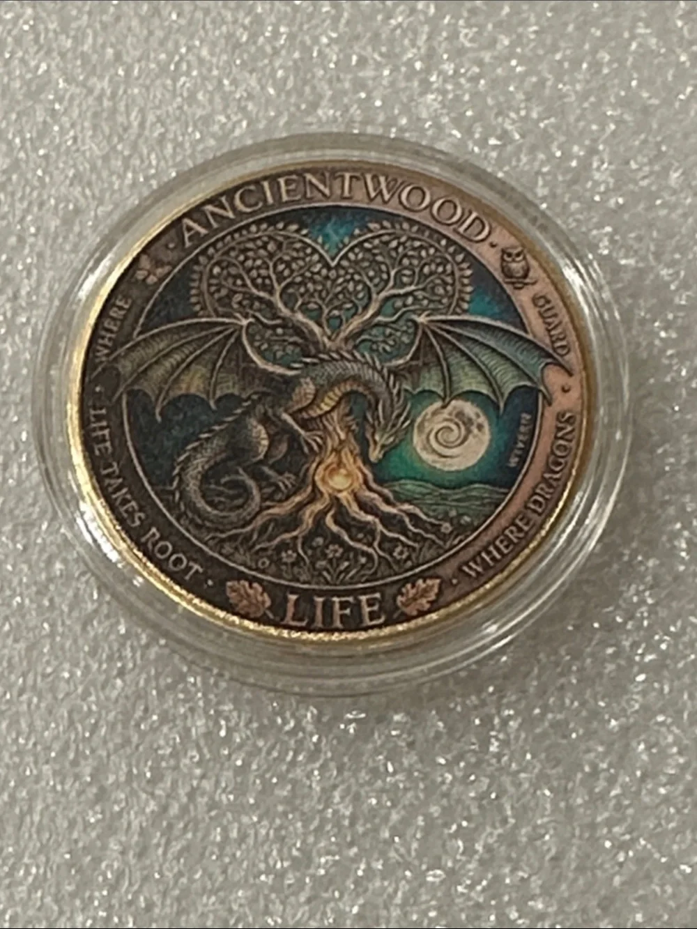 Life Dragon Coin - Teal & Bronze Collector Coin